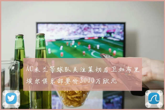 AC米兰等球队关注莱切后卫加布里埃尔俱乐部要价3000万欧元