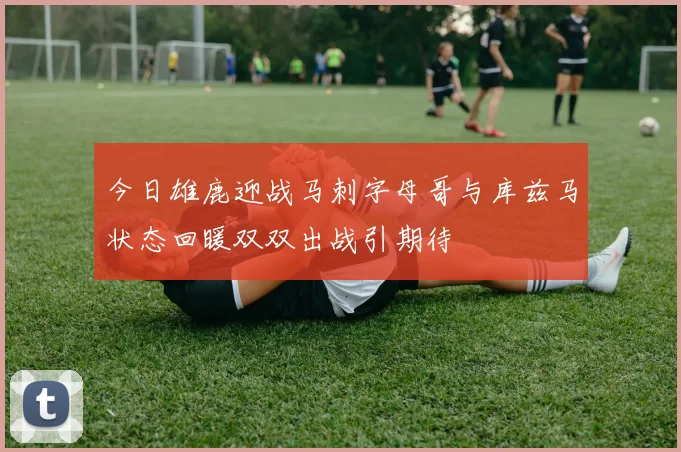 今日雄鹿迎战马刺字母哥与库兹马状态回暖双双出战引期待